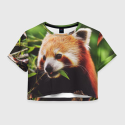 Женская футболка Crop-top 3D Красная милая панда