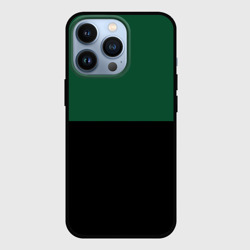 Чехол для iPhone 13 Pro Серьёзный Зелёный
