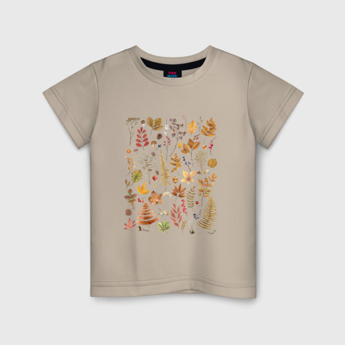 Детская футболка хлопок с принтом Осенние листья и растения, вид спереди #2
