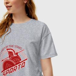 Женская футболка хлопок Oversize Спарта щит или Копьё - фото 2
