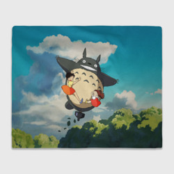 Плед Flight Totoro