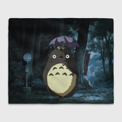 Плед 3D Totoro in rain forest