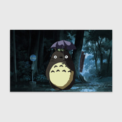 Бумага для упаковки 3D Totoro in rain forest