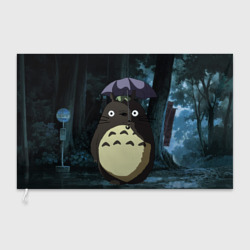 Флаг 3D Totoro in rain forest