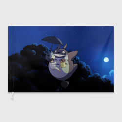 Флаг 3D Night flight Totoro