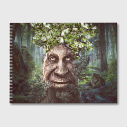 Альбом для рисования Мудрое Таинственное Дерево