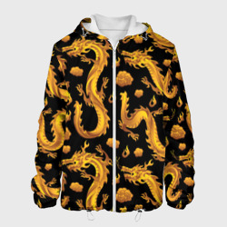 Мужская куртка 3D Golden dragons