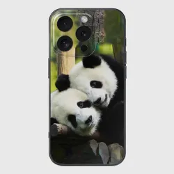 Чехол для iPhone 16 Pro силиконовый с защитой камеры Влюблённые панды