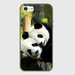 Чехол для iPhone 5/5S матовый Влюблённые панды