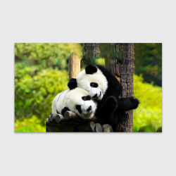 Бумага для упаковки 3D Влюблённые панды