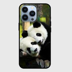 Чехол для iPhone 13 Pro Влюблённые панды