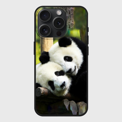 Чехол силиконовый для Apple iPhone 15 Pro матовый Влюблённые панды