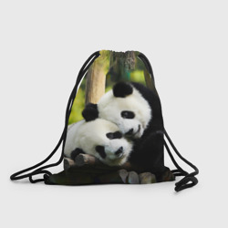 Рюкзак-мешок 3D Влюблённые панды