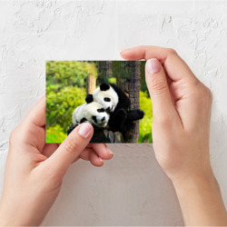 Поздравительная открытка Влюблённые панды - фото 2