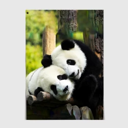 Постер Влюблённые панды