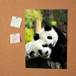 Постер Влюблённые панды - фото 2