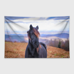 Флаг-баннер Черный конь