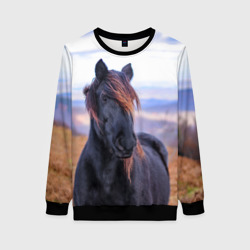 Женский свитшот 3D Черный конь
