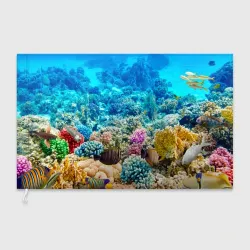 Флаг 3D Дно морское