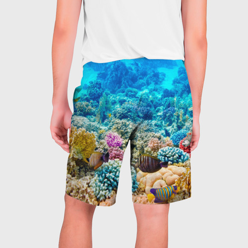 Мужские шорты 3D с принтом Дно морское, вид сзади #1