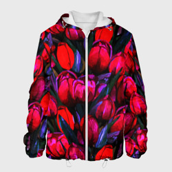 Мужская куртка 3D Тюльпаны - поле красных цветов