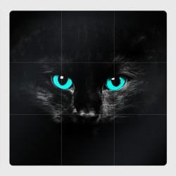 Магнитный плакат 3Х3 Чёрный кот с бирюзовыми глазами