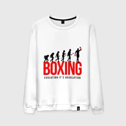 Мужской свитшот хлопок Boxing evolution