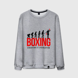 Мужской свитшот хлопок Boxing evolution