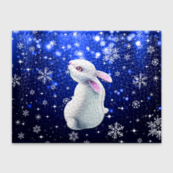 Обложка для студенческого билета Белый кролик в снежинках