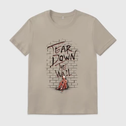 Мужская футболка хлопок Снеси стену