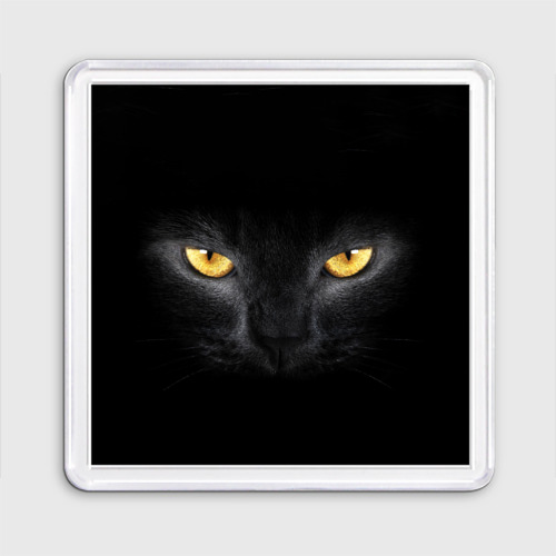 Магнит 55*55 Чёрная кошка с оранжевыми глазами
