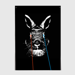 Постер Черный кролик стреляет лазерами из глаз