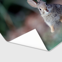 Бумага для упаковки 3D Малыш кролик - фото 2