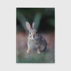 Обложка для автодокументов Малыш кролик