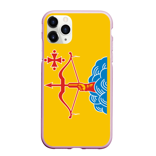 Чехол для iPhone 11 Pro матовый с принтом Кировская область - герб, вид спереди #2