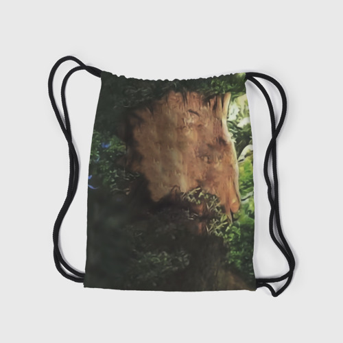Рюкзак-мешок 3D Мудрое дерево с лицом мем - фото 7