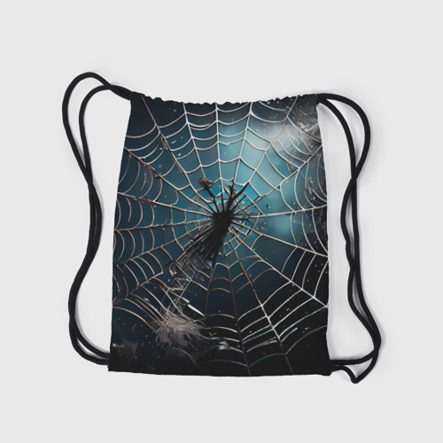 Рюкзак-мешок 3D Halloween - паутина на фоне мрачного неба - фото 7