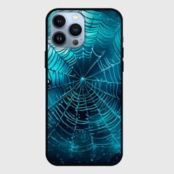 Чехол для iPhone 13 Pro Max Halloween паутина