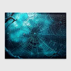 Обложка для студенческого билета Halloween паутина