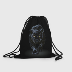 Рюкзак-мешок 3D Черная пантера - хищница