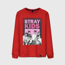 Мужской свитшот хлопок Stray Kids boy band