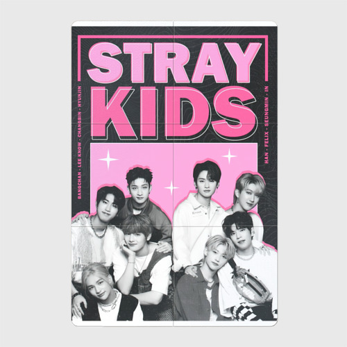 Магнитный плакат 2Х3 Stray Kids boy band