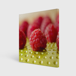 Сочные ягоды малины – Холст квадратный с принтом купить