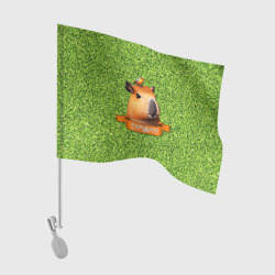 Капибара с птицей на голове – Флаг для автомобиля с принтом купить