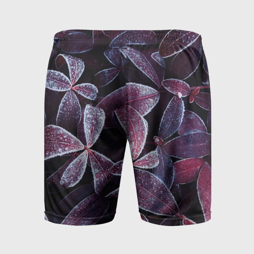 Мужские шорты спортивные Листья в морозе, цвет 3D печать - фото 2