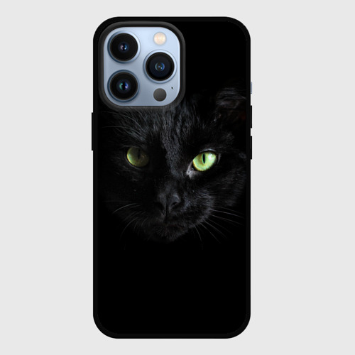Котик С Айфоном 13
