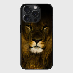 Чехол силиконовый для Apple iPhone 15 Pro матовый Лeв