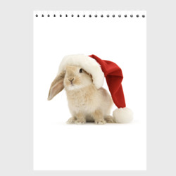 Скетчбук Новогодний кролик - 2023