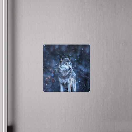 Магнит виниловый Квадрат Лесной волк - фото 4
