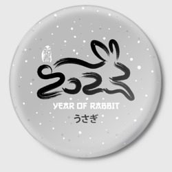 Значок Черный водяной кролик 2023